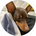 23017池原楓菜 profile picture